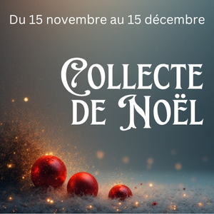 COLLECTE NOEL 2025